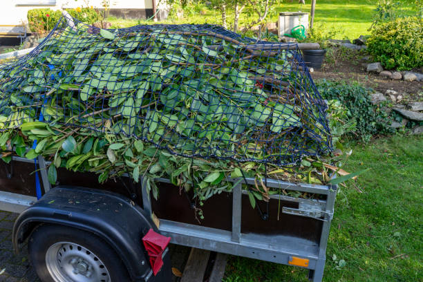 Best Residential Junk Removal  in Rockwood, MI